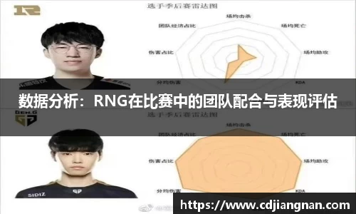 数据分析：RNG在比赛中的团队配合与表现评估